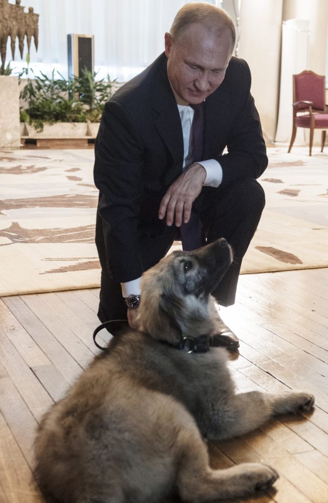 Putin with-puppy